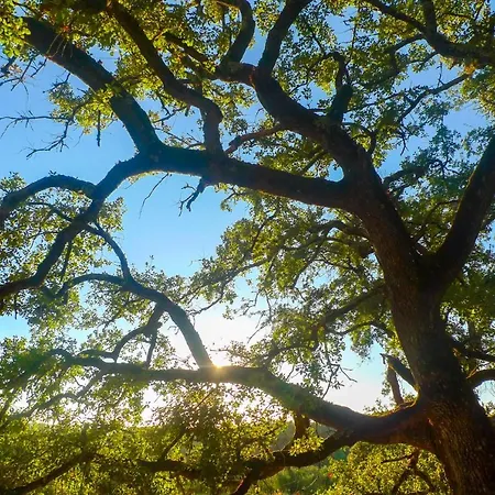 Casa de Férias Casal Frias