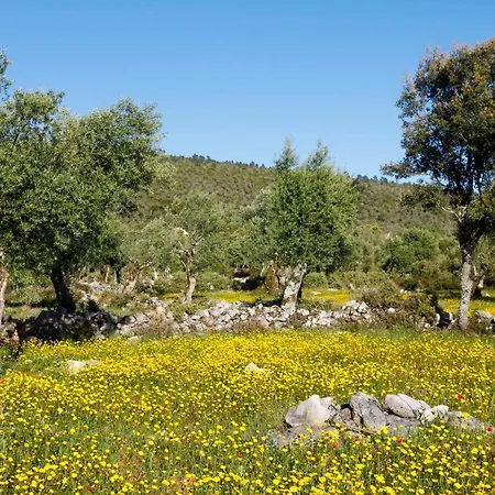 Casa de Férias Casal Frias