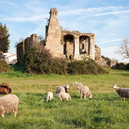 Casal Frias Casa de Férias *