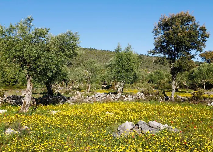 Prázdninový dům Casal Frias